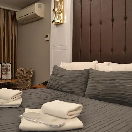 Gumus Palace Gungoren Istanbul