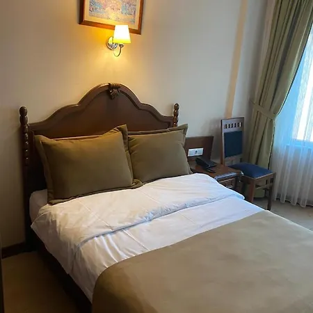 Hotel Bueyuek Levent *
