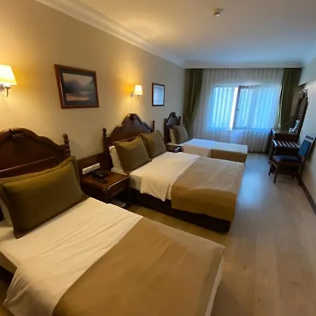 Hotel Bueyuek Levent