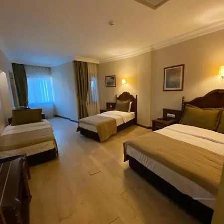 Hotel Bueyuek Levent *