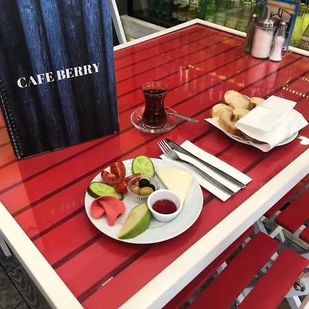 Istanberry - Happy Economy Apartment Istanbul