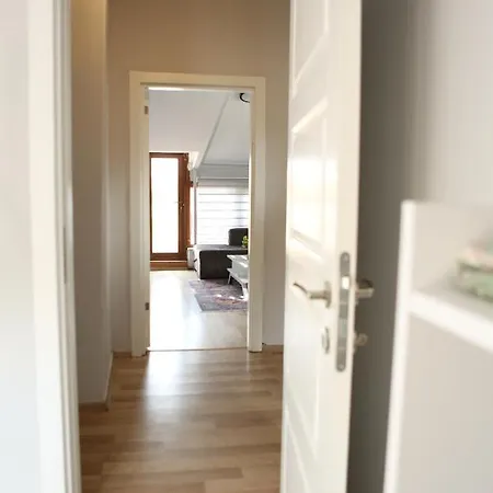 Aras Istanbul