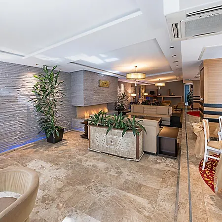 酒店 亚洲梦山商务豪华酒店 4*