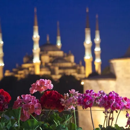 No20 Sultanahmet Отель 3*