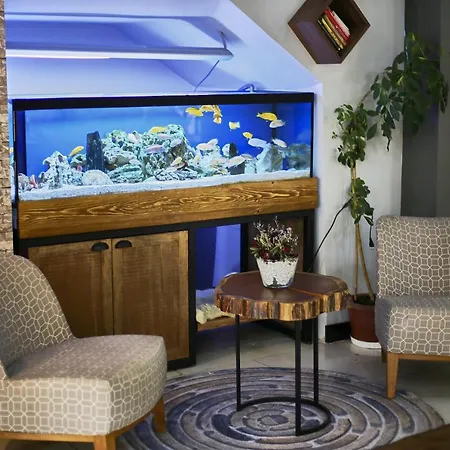 Hotel Zengin 2*