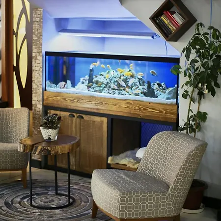 Hotel Zengin
