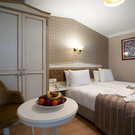 Mevlana Hotel Provincia di Istanbul