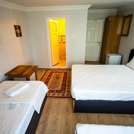 Altun Life Hotel Istanboel