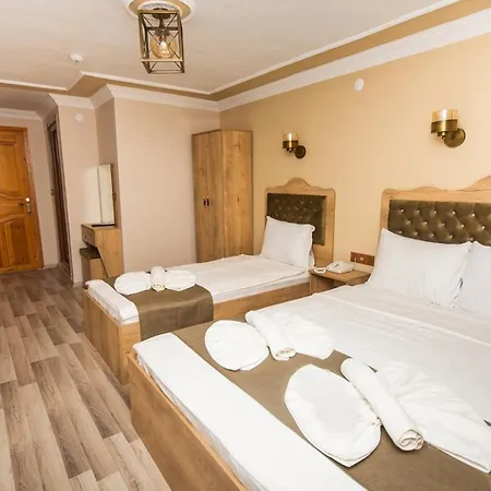 Hotel Orkide *