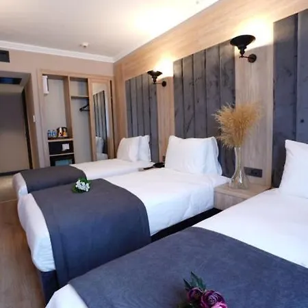 Mineo Taksim Hotel Istanboel