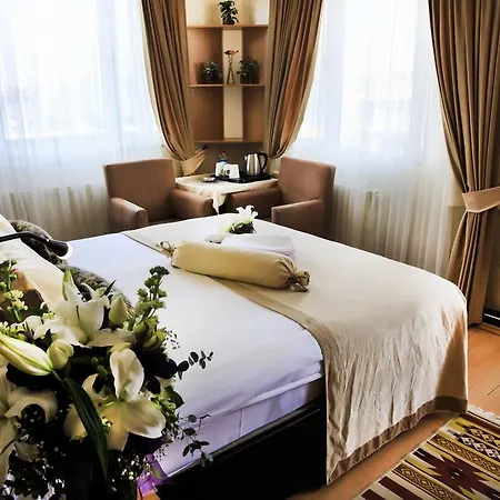 Anka Business Park 3* Istambul