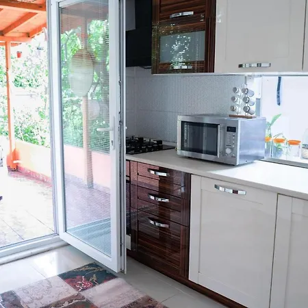 Garden Nature House In The Center Of Istanbul Holiday home
