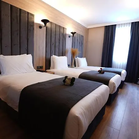Mineo Taksim Hotel Istanboel
