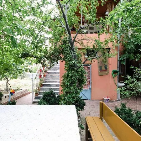 Garden Nature House In The Center Of Istanbul Holiday home *