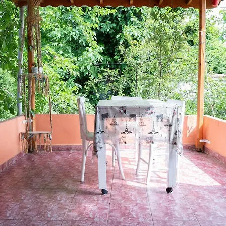 Garden Nature House In The Center Of Istanbul Holiday home Istanbul