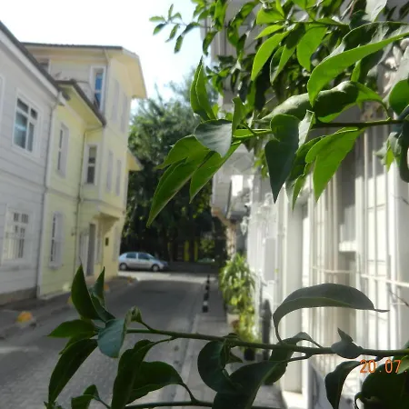 Royal Sultanahmet 酒店 伊斯坦布尔
