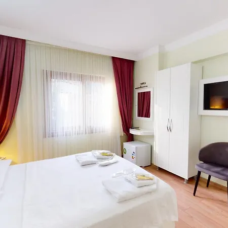 The Wolf Hotel 3*