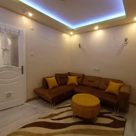 Mir Comfort *
