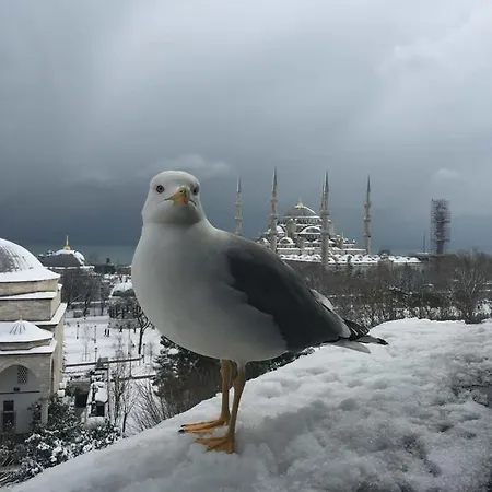 Esra Sultan Petrol Hotel Istanbul
