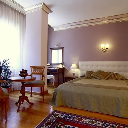 Uyan-special Category Hotel Estambul