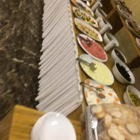 ألفا فندق 4*