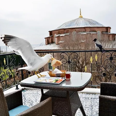 Little Sofia Istanbul