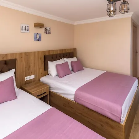 Hotel Grey House - Historical Peninsula
