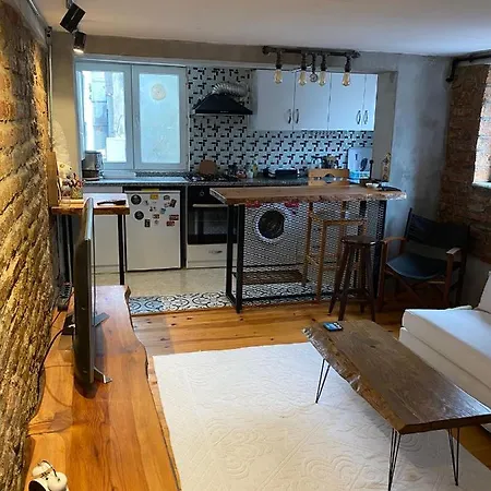 Taksim Gothic Art Apartment