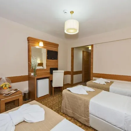 Hotel Selenay & Provincia di Istanbul