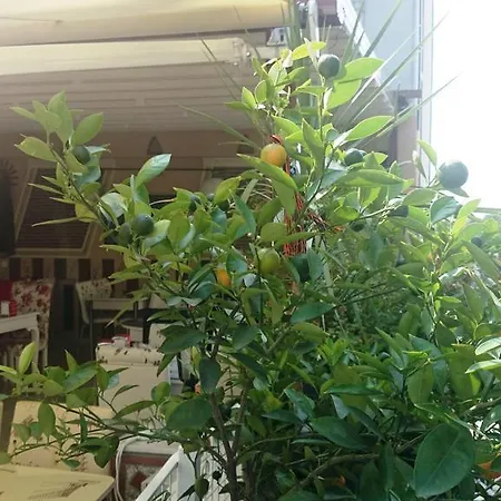 Esra Sultan Petrol Hotel
