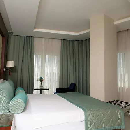 Vatan Asur Hotel Provincia di Istanbul