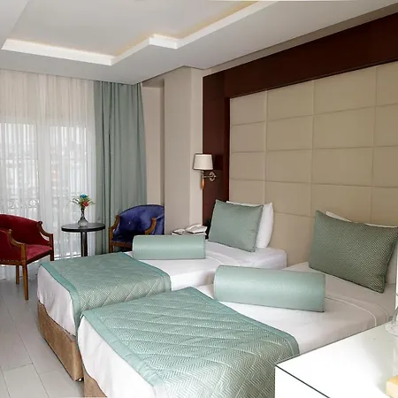 Vatan Asur Hotel Provincia di Istanbul