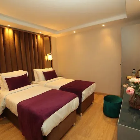 Hotel The Roomy Sisli 2*