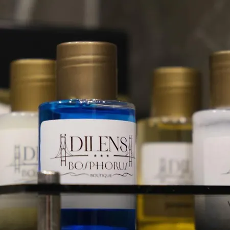 Hotel Dilens Bosphorus