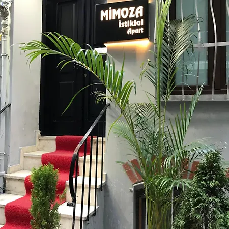 公寓式酒店 Mimoza Istiklal