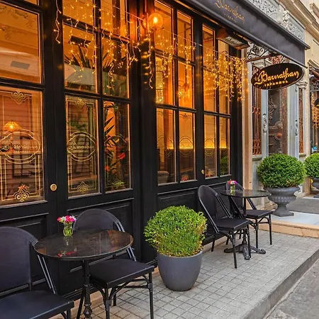 Meroddi Barnathan Istambul