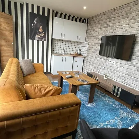 The Marmara Apartment Istanbul