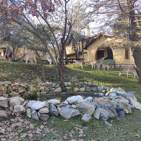 Polonezkoey Country Club & In The Wildlife Park! Resort 3*