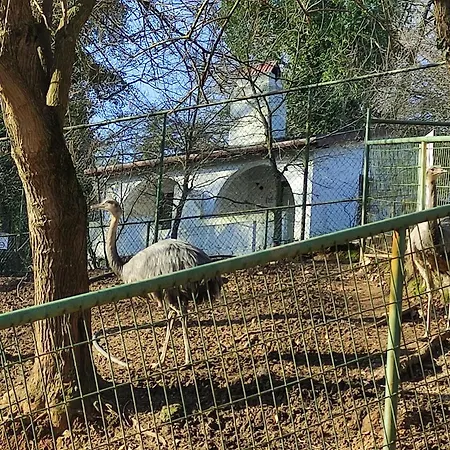 Resort Polonezkoey Country Club & In The Wildlife Park!