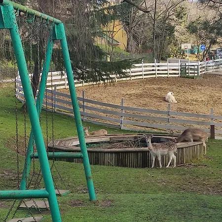 Resort Polonezkoey Country Club & In The Wildlife Park!