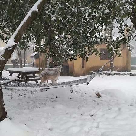 Polonezkoey Country Club & In The Wildlife Park! 3* İstanbul