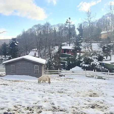 Polonezkoey Country Club & In The Wildlife Park! İstanbul
