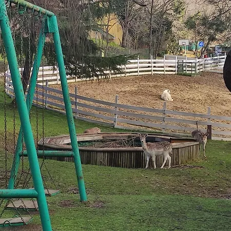Polonezkoey Country Club & In The Wildlife Park! Resort İstanbul