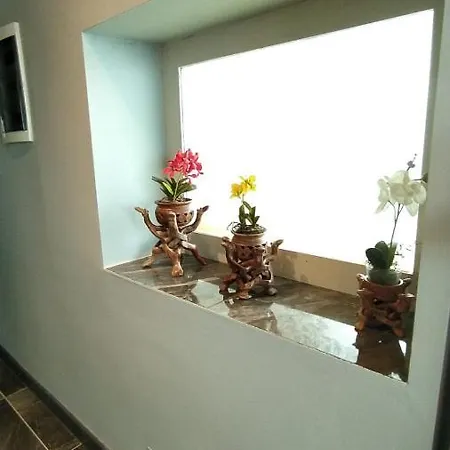 Hotel Mangana