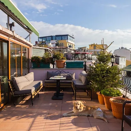Hostel Agora