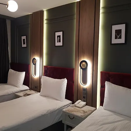 Hotel Selenay & 3*
