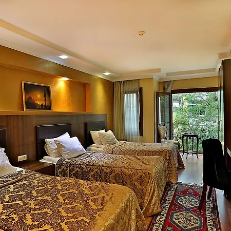 Hotel The 3*