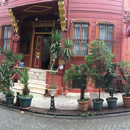 Le Safran Affittacamere Provincia di Istanbul