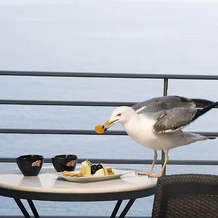 Cinar Hotel Provincia di Istanbul