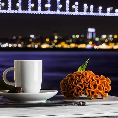 Bosphorus Palace 4*